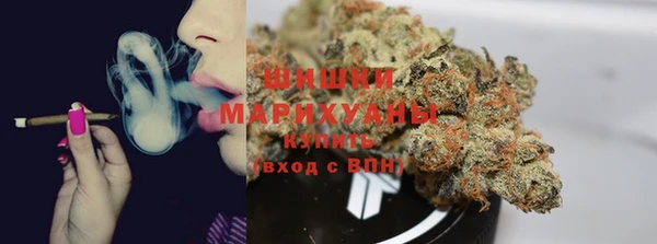 тгк Корсаков