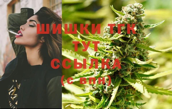 тгк Корсаков