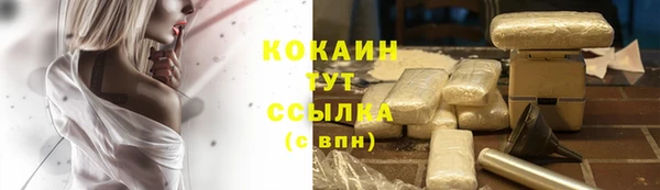 тгк Корсаков